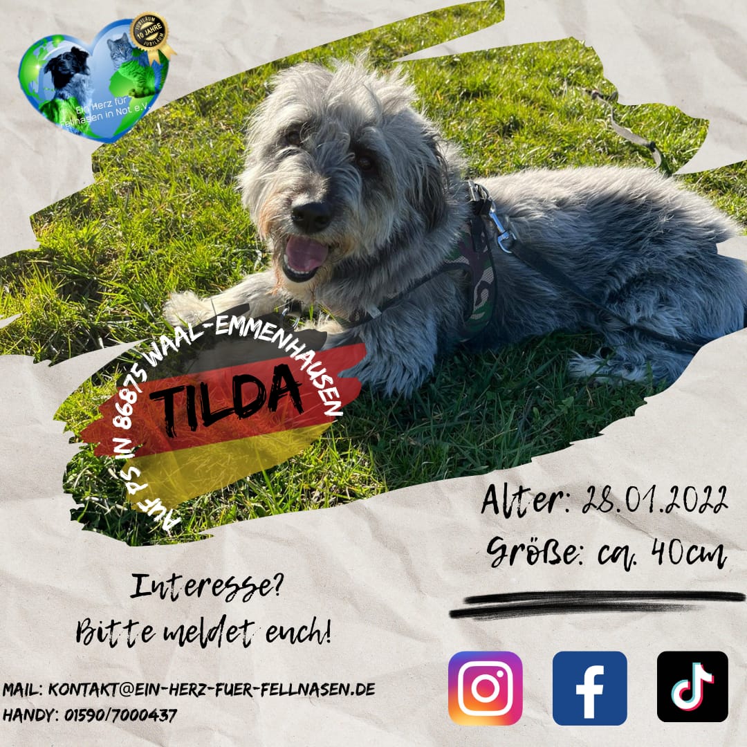 Tilda2
